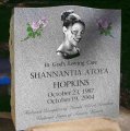 #55 - Glass Art Etched - Portrait with pink roses on gray granite